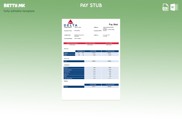 Модерен стил на USA Delta Air Lines авиокомпанија шаблон paystub